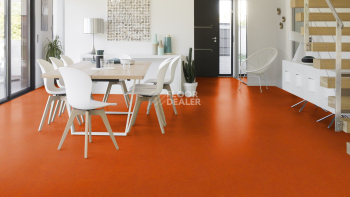 Marmorette DLW  2mm 0117 Mandarin Orange фото 2 | FLOORDEALER